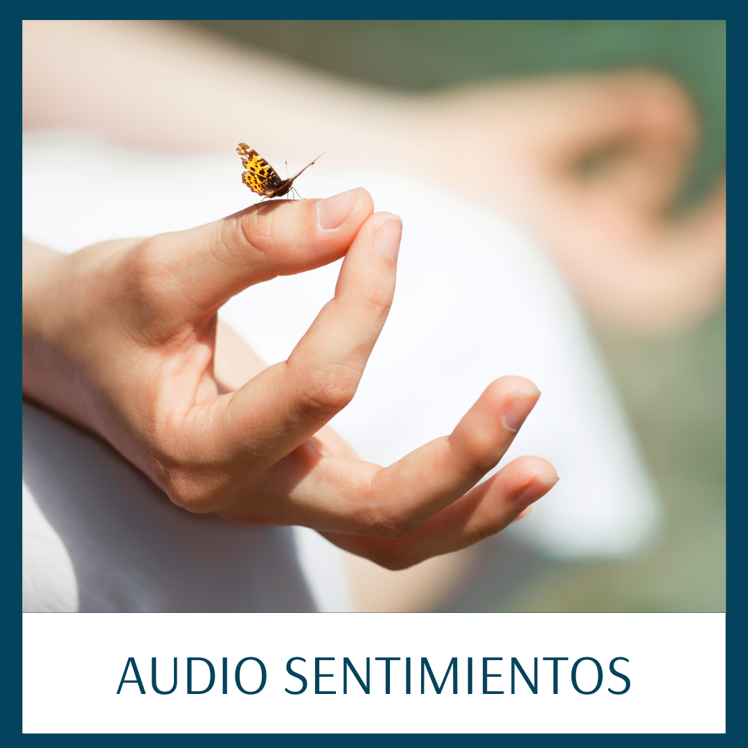 ProductoTiendaCPC_2023_4