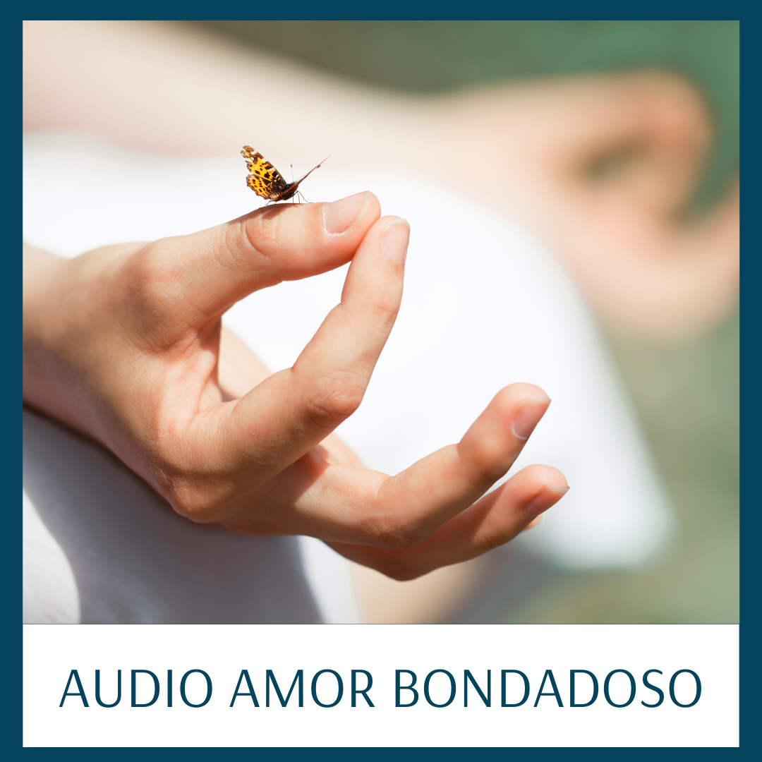 ProductoTiendaCPC_2023_5