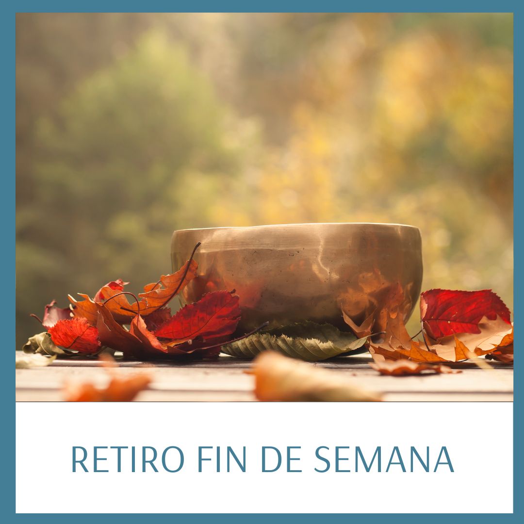 ProductoTiendaCPC_2024_12